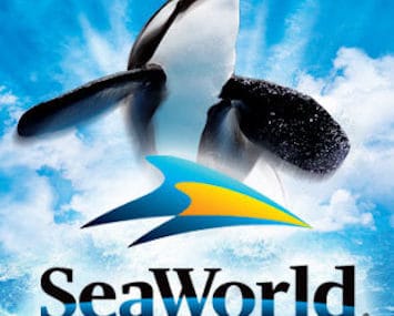 Save 40% off SeaWorld Orlando with Groupon Coupon – Limited Time