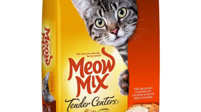 Save 3.00 off (1) Meow Mix Tender Centers Dry Cat Food Coupon