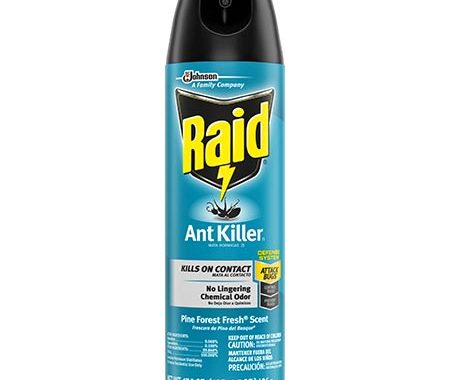Save $0.55 off (1) Raid Ant Killer Printable Coupon