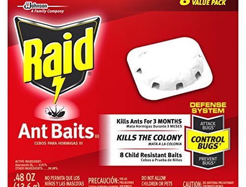 Save $0.55 off (1) Raid Ant Baits Printable Coupon